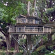 Illustration for article titled Bellavista's Biodigesting Treehouses Are Endor on Earth